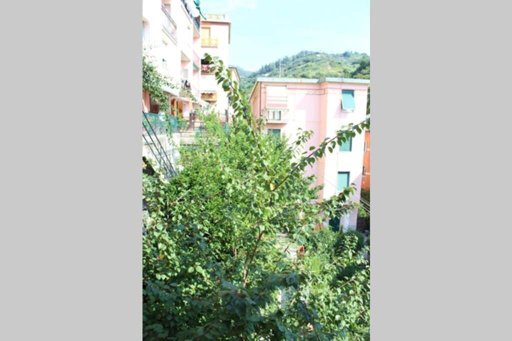Ca Du Rocco - Citra 011019-lt-0343 Apartment *